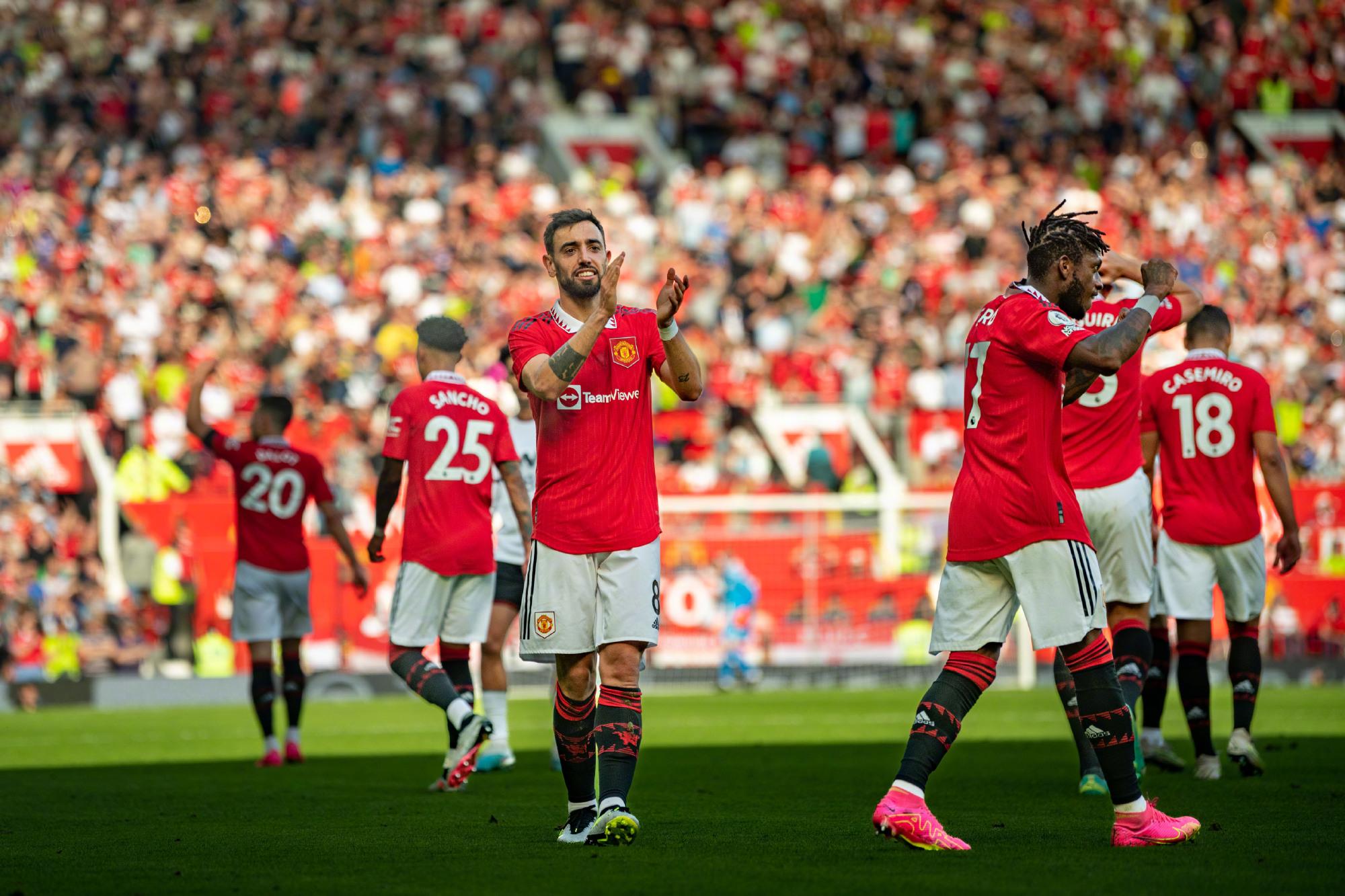 现了成熟的 现了成熟的